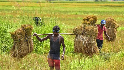 village of countryside employment.